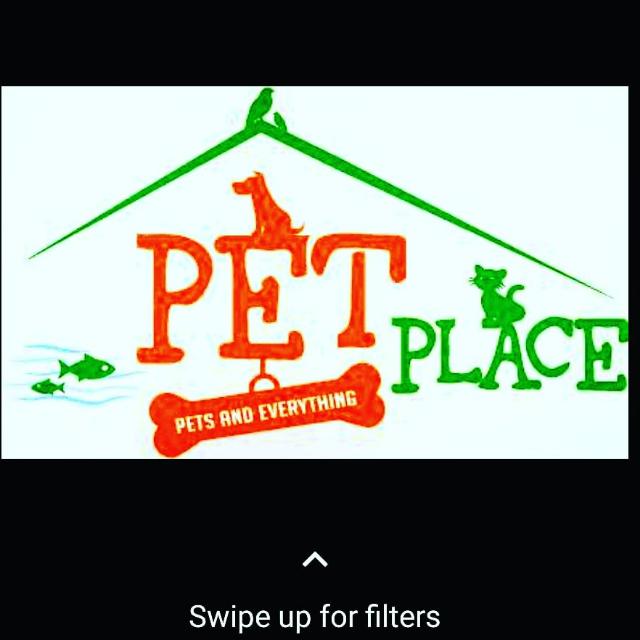 PET PLACE🐕 Hospital,shop