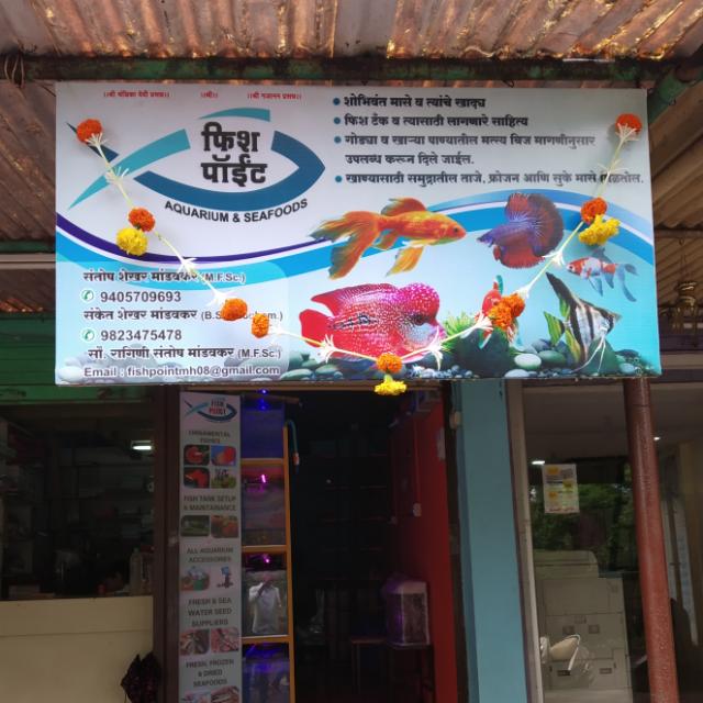 Fish point aquarium's