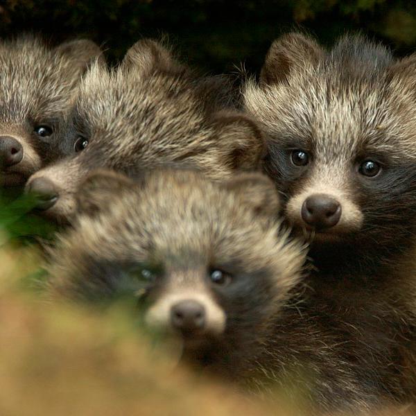 Social Support Group