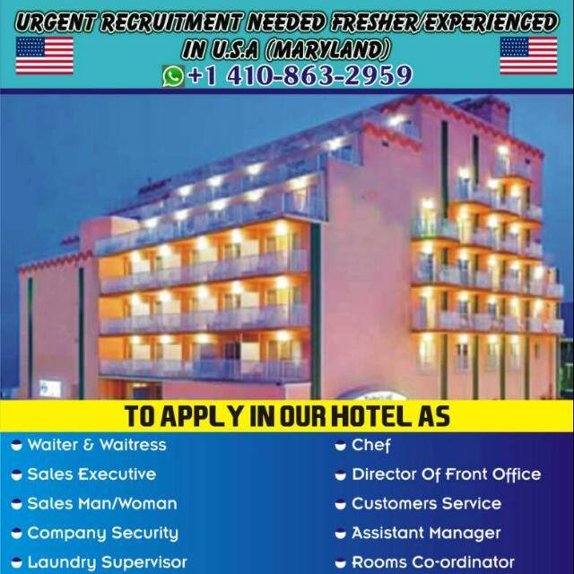 Job Vacancy