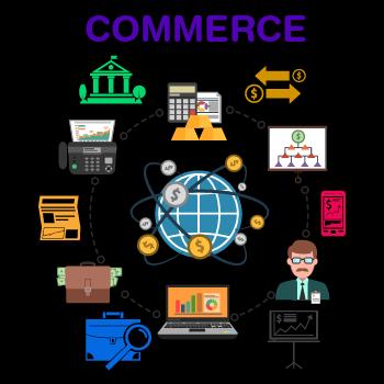 Audit of Commerce