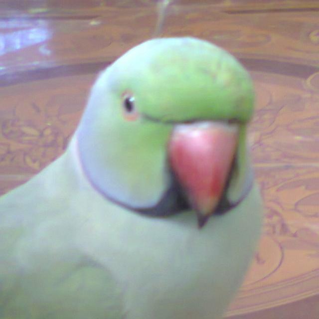 ??????001collections?????