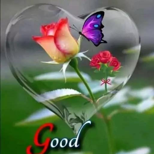 ??ආදර කලපුව  ????✝️☪️?️☸️