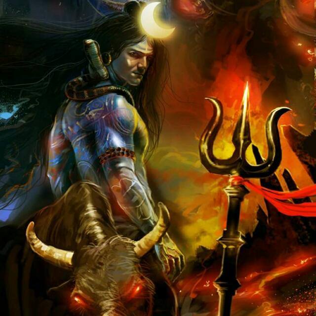 शेरे बिहार🇨🇮 🐅🐆