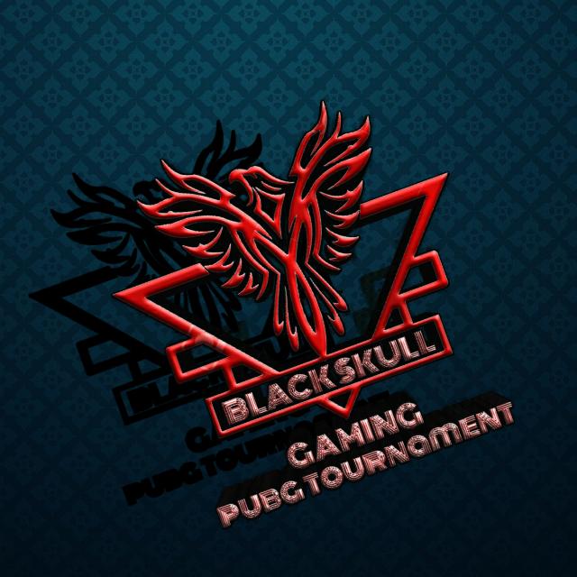 🎮PUBG ✈️Tournament