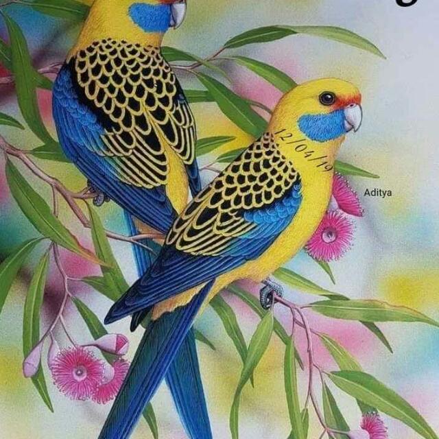 Odia Biological group 