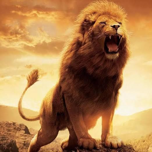 ♕ ????? ?????? ?? ???? ♕