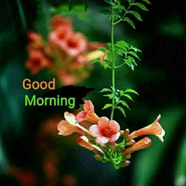 ✌️Volatility&Forex✌️