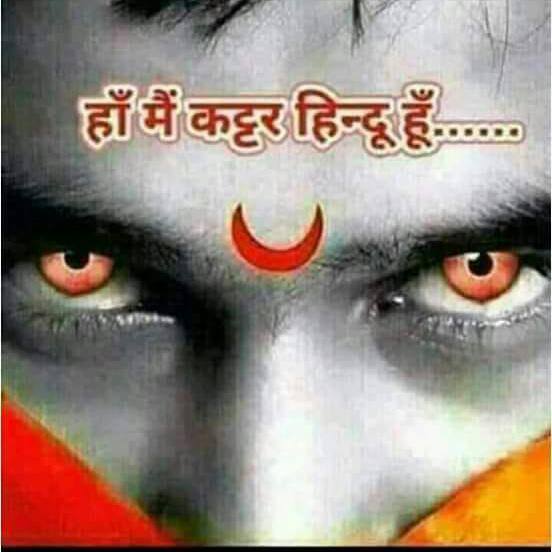 ??????Tiger ? ?group ????????