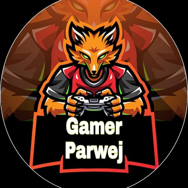 Gamer Parwej youtube🤝