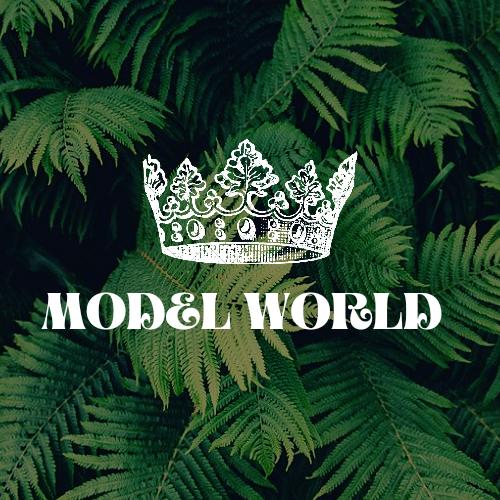 MODEL WORLD OFFICIAL