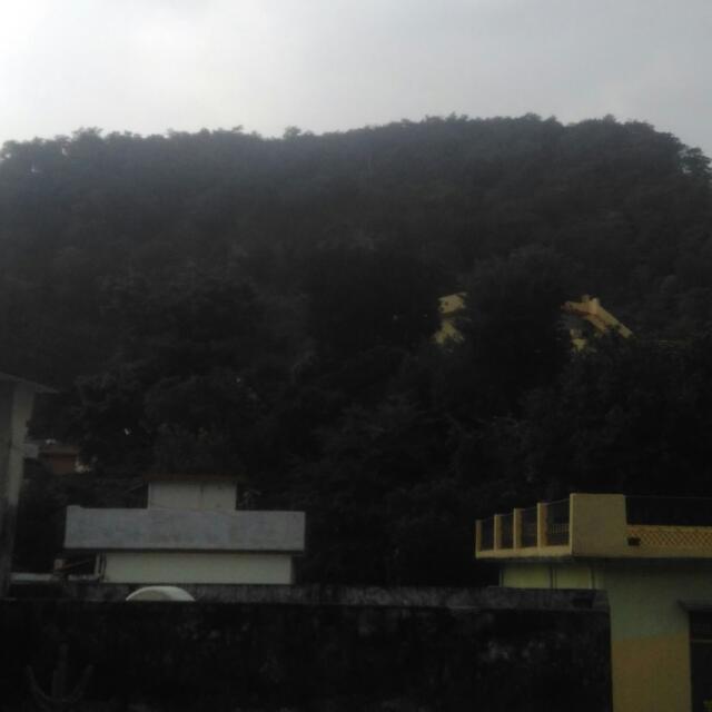 ?????????? ??????????