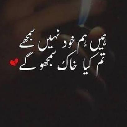 Urdu punjabi portry🥀