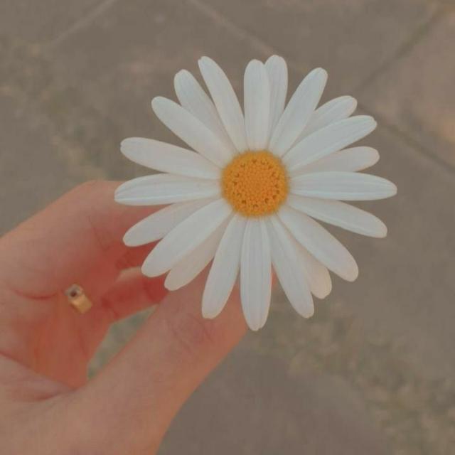 ☯︎?︎?︎?︎?︎?︎?︎シ︎✿︎?︎?︎?︎?︎?︎?︎☘︎☕︎