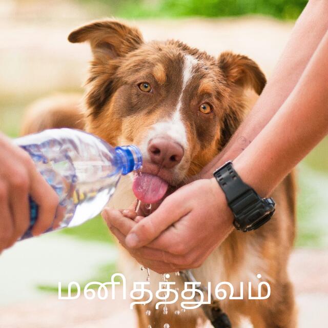 💐🙏 மனிதத்துவம் 🙏💐