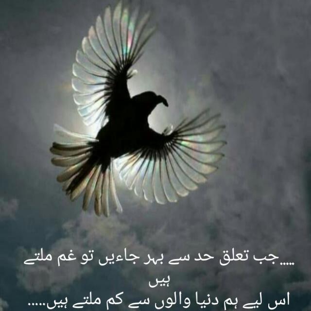 अल्ट्रान बिटकॉइन निवेश*
  *बिना मेहनत के कमाई का सबसे बड़ा रहस्य,,100% वैध और सुरक्षित*
 *घर पर रहे