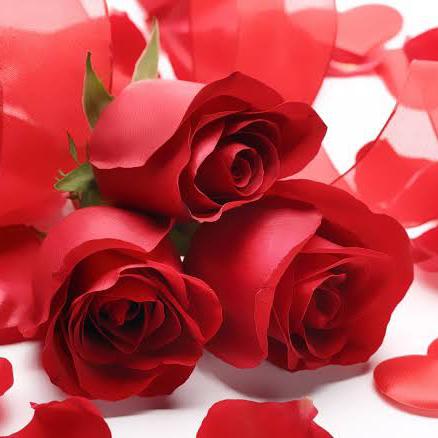 Beautiful Love6 🎁🌹❤️🕊️🎁🎁🌹
