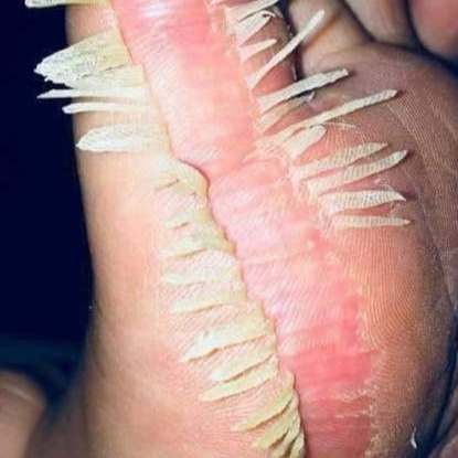 THIS IS A SCAM - MR8