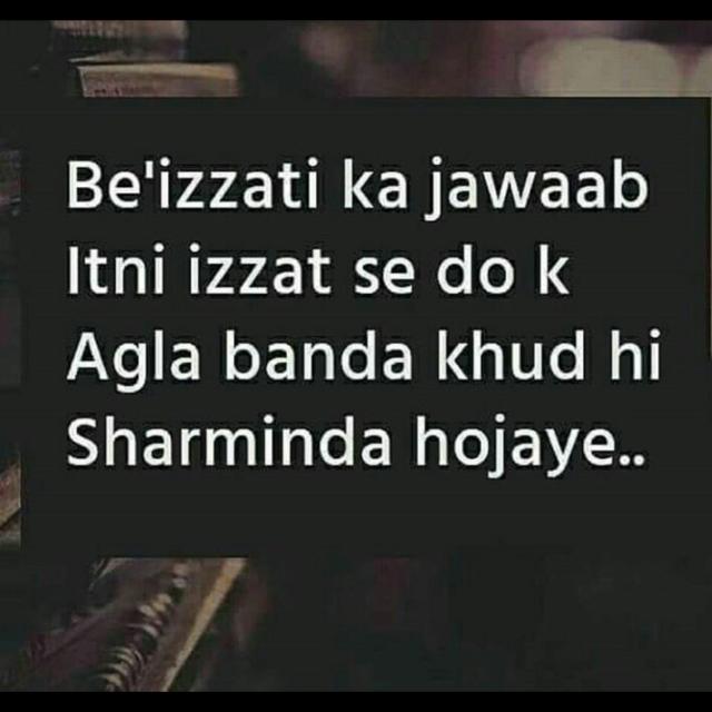 Delhi Boys