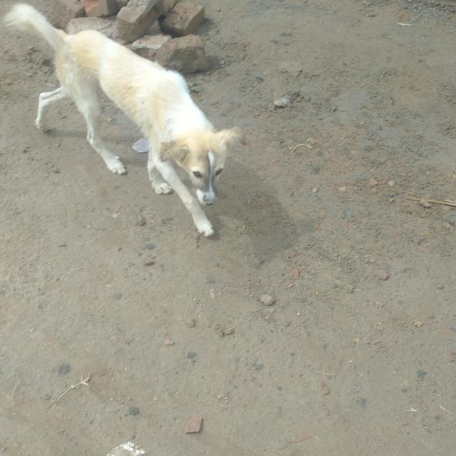 Knobqonownownwbwononwowrh hryr