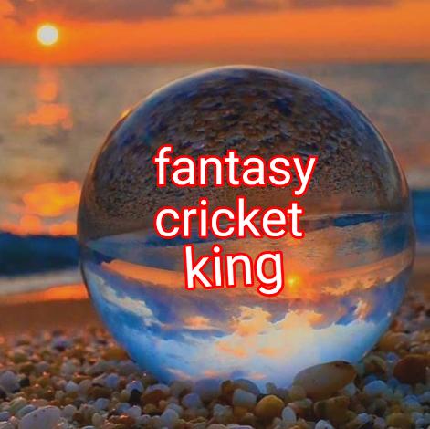 Fantasy cricket king  🏏🏏❤️