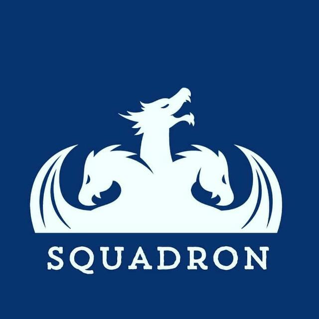 INSTA SQUADRON