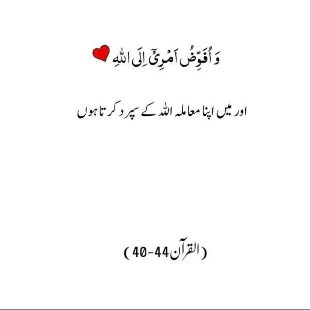 Database All Network Data