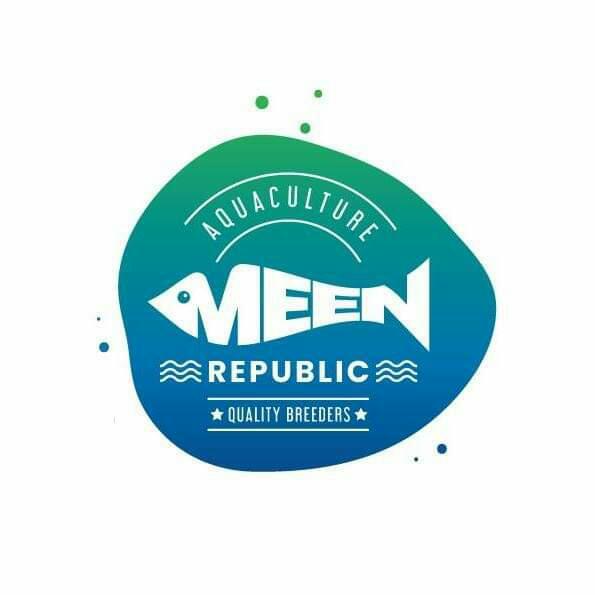 MEENREPUBLIC LELAM GROUP