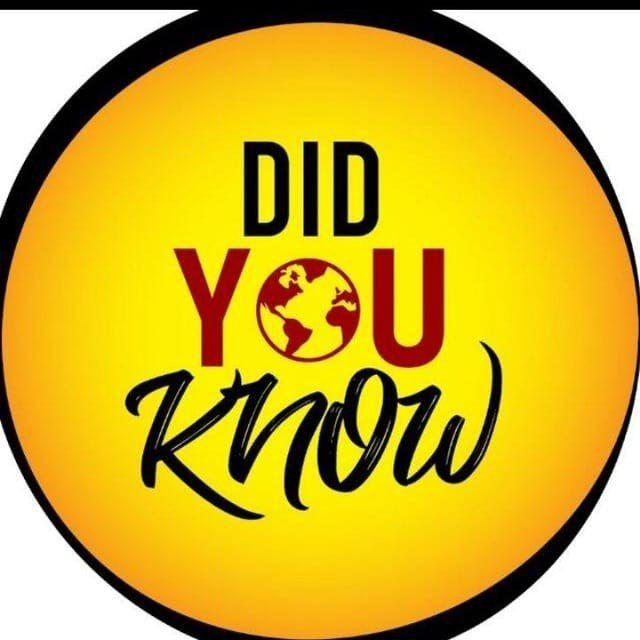 Did you know comments