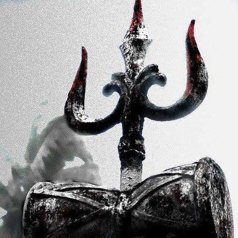 ??भोले के भगत??