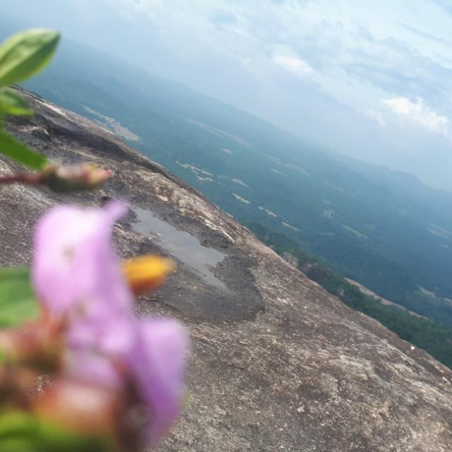 🙏ගමේ කල්ලිය🙏