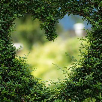 💘💘BROKEN HEART💔💔