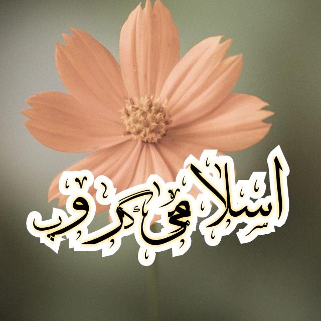 🌹🌹اسلامک گروپ 🌹🌹