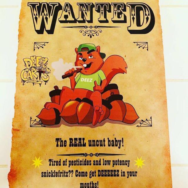 Deez Nation 