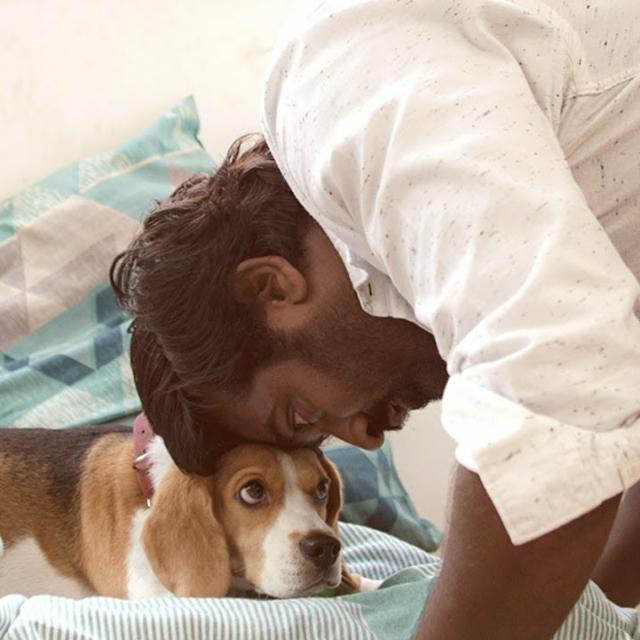 ??? ?????? ?? ????????