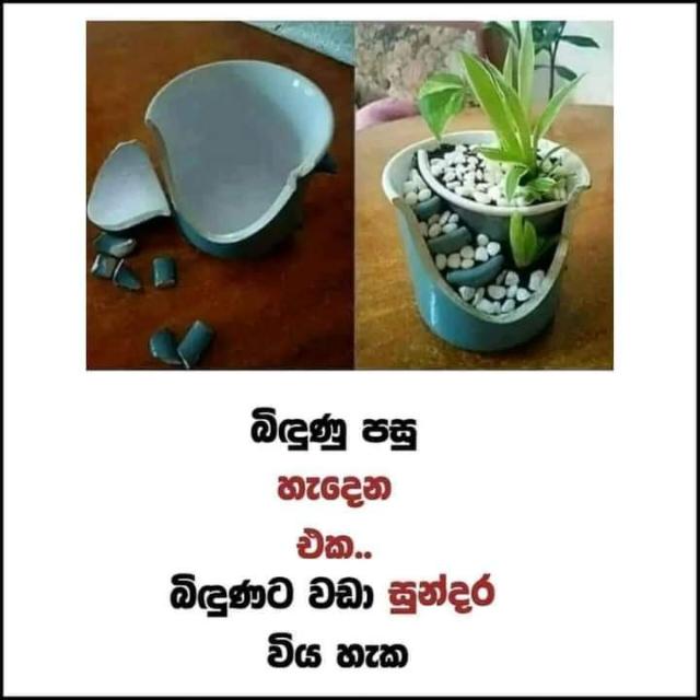 ලස්සන පියපත් සමුහය