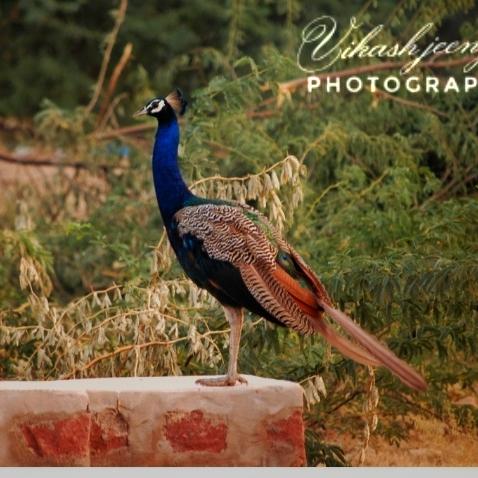 PHOTOGRAPHER'S SOCIETY 📸♥