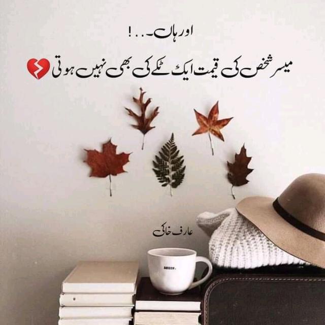 شعرو شاعری کی دنیا✍️