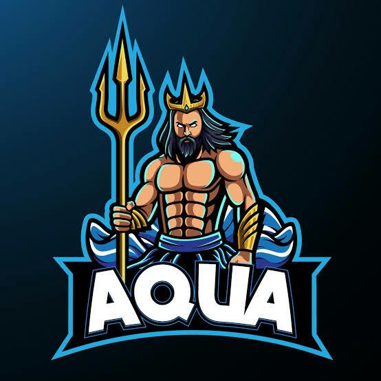 Aqua Gamer ss