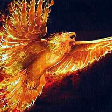 அனல்பறக்கும்அதிரடிபாய்ஸ்🦅