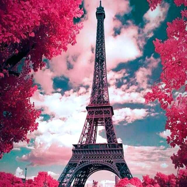 ➳✿ ??.16 ⛱️??? ???????? ⛱️