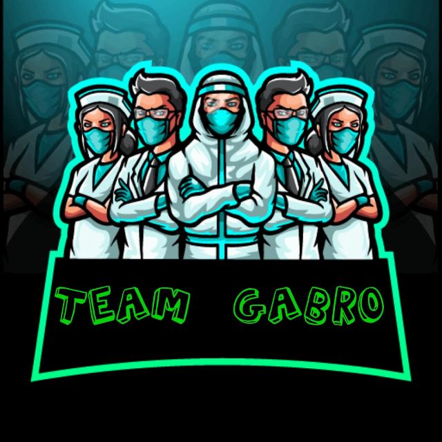 Team Gabro