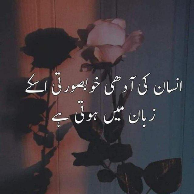 🇵🇰ہم سب کا پاکستان 🇵🇰