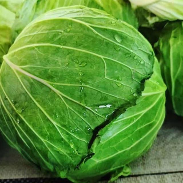 ♦️?? ??? ????? ?????♦️