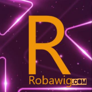 Robawig Inc