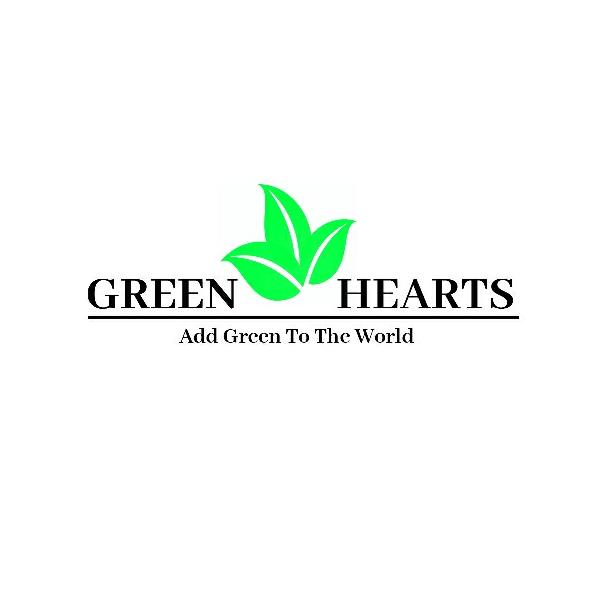 Green hearts 💚💚💚
