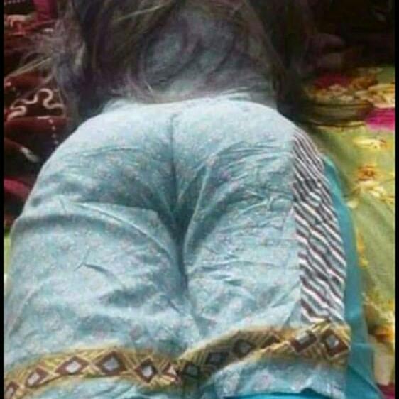 Only pakistni insect