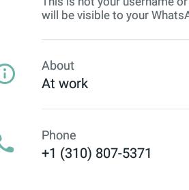 Fake whatsapp account