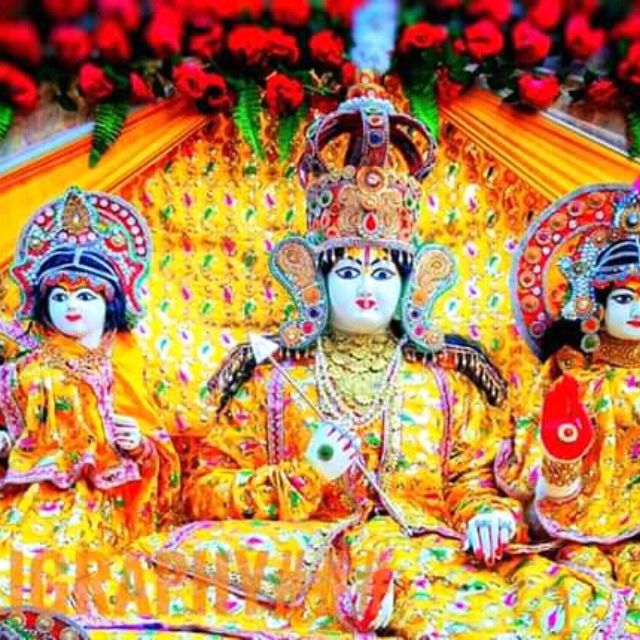 Jasmine Reed The Author