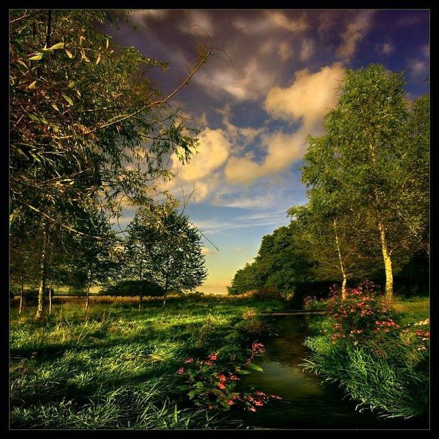 ?⚠️dangerous group ⚠?